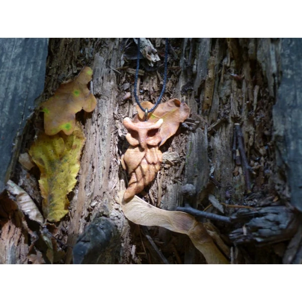 Mądrość Lasu / Wisdom of the Forest